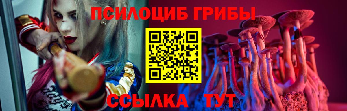 Псилоцибиновые грибы Cubensis Кизилюрт