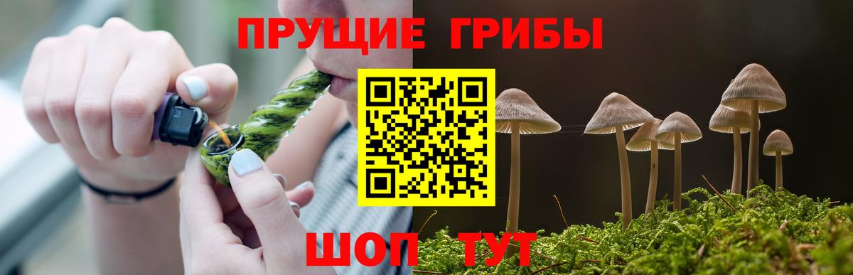 Кизилюрт  Галлюциногенные грибы мицелий  Галлюциногенные грибы GOLDEN TEACHER  Вход с VPN 